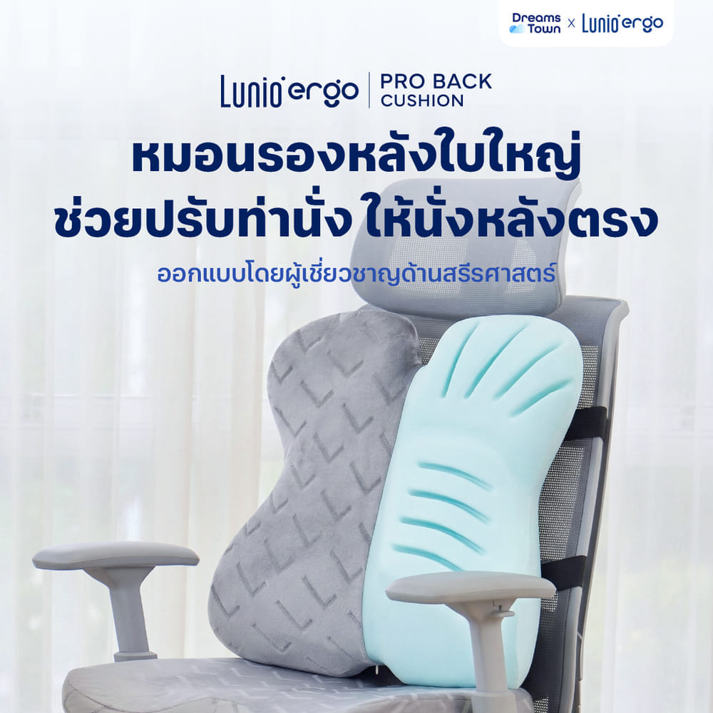 เบาะรองหลัง LUNIO ERGO PRO BACK CUSHION_9